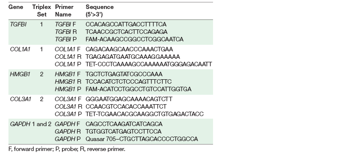 Primer and probe information