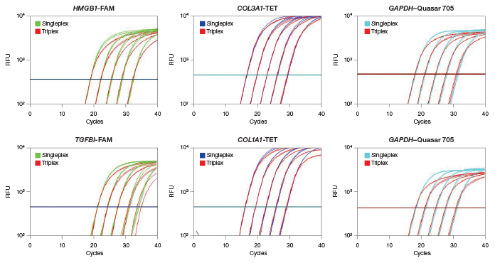 Validation of triplex RT-qPCR assay validation qPCR