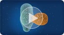 Understanding Reverse Transcription interactive video