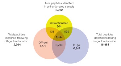 Distribution of identified peptides among the unfractionated