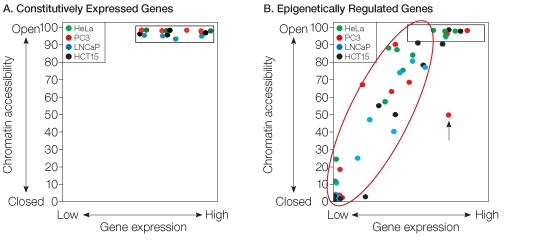 br133_ps_epiq_fig2