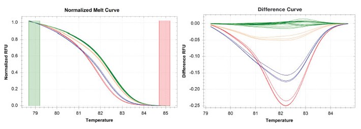 gyrA gene panel depicting genotypes of the mutant strains against the wild type NHDP63 strain