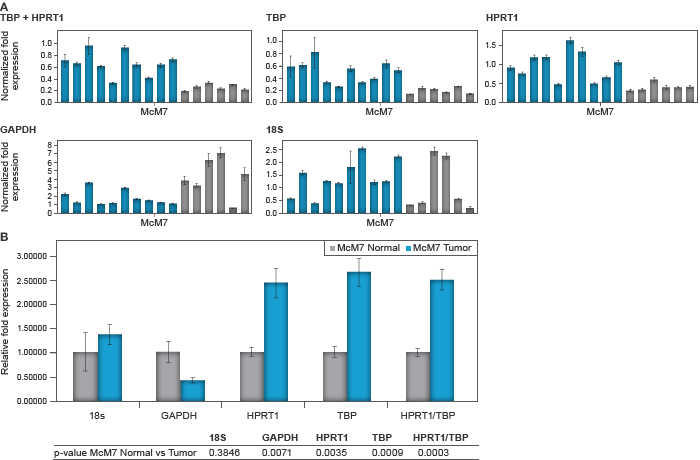 Relative MCM7 expression for individual samples and associated average