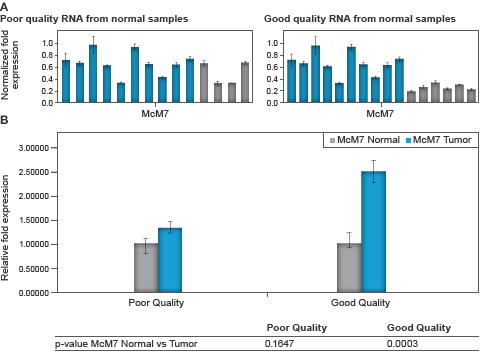 Relative MCM7 expression for individual samples and associated average