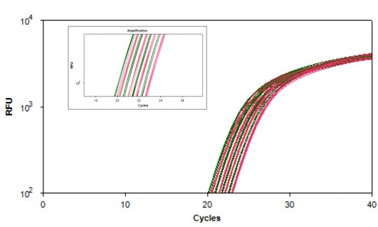 12-0082_itaq-probe_fig2_test