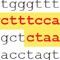 Quantification of 100 RNA Targets from Unlimited Samples or Single Cells