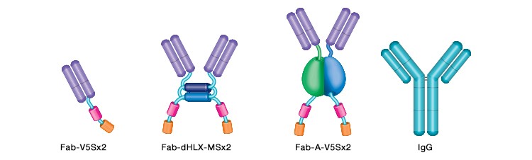 fig-02b