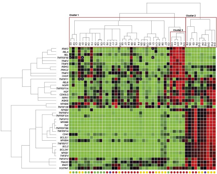 gene-expression-patterns-in-normal-and-cancerous-prostate-tissues