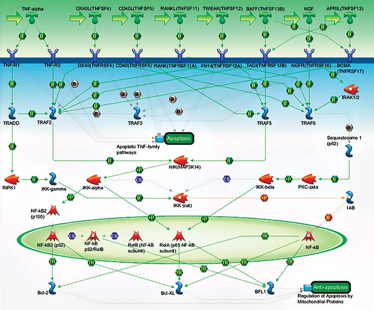 pcr-pathway-map