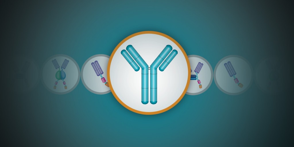 trendsinantibodygenerationtechniquesthefullysynthetichuman