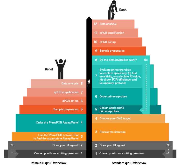 prime-pcr-qpcr-vs-standard-qpcr-workflow