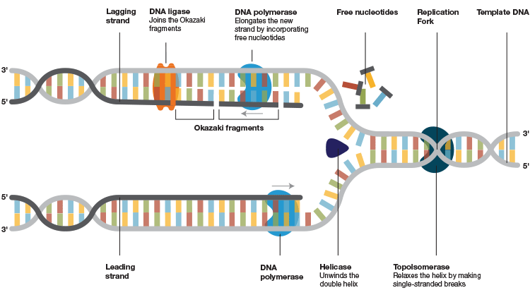 fig-01