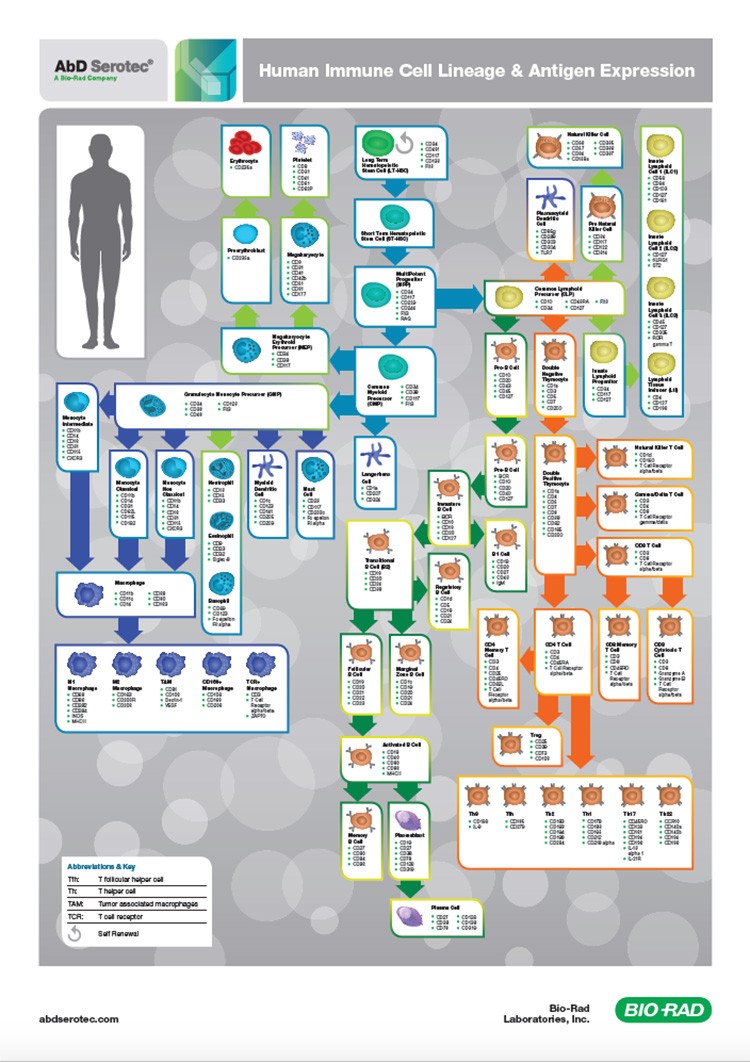 human-biomarker-poster-screenshot