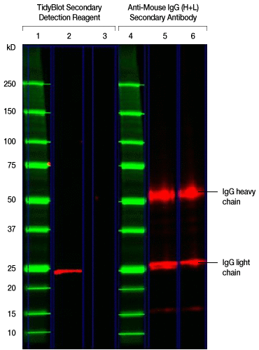 fig-01