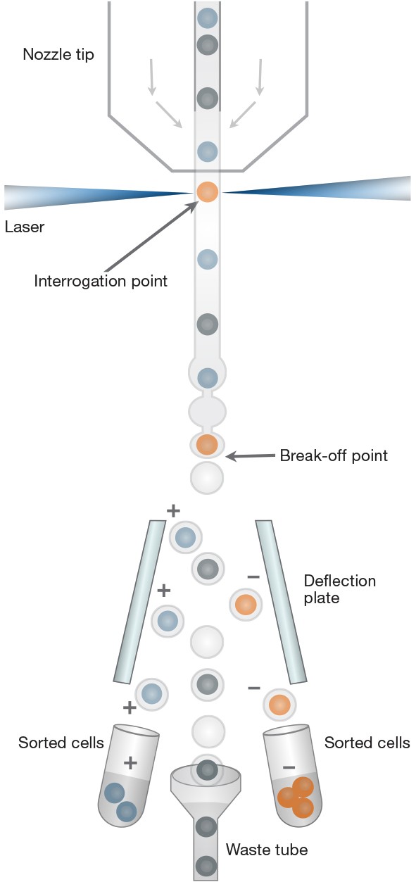 fig-01_new