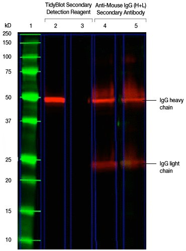 fig-02