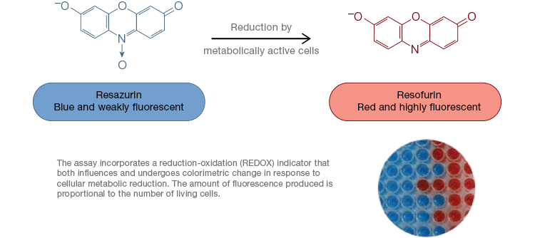 fig-04