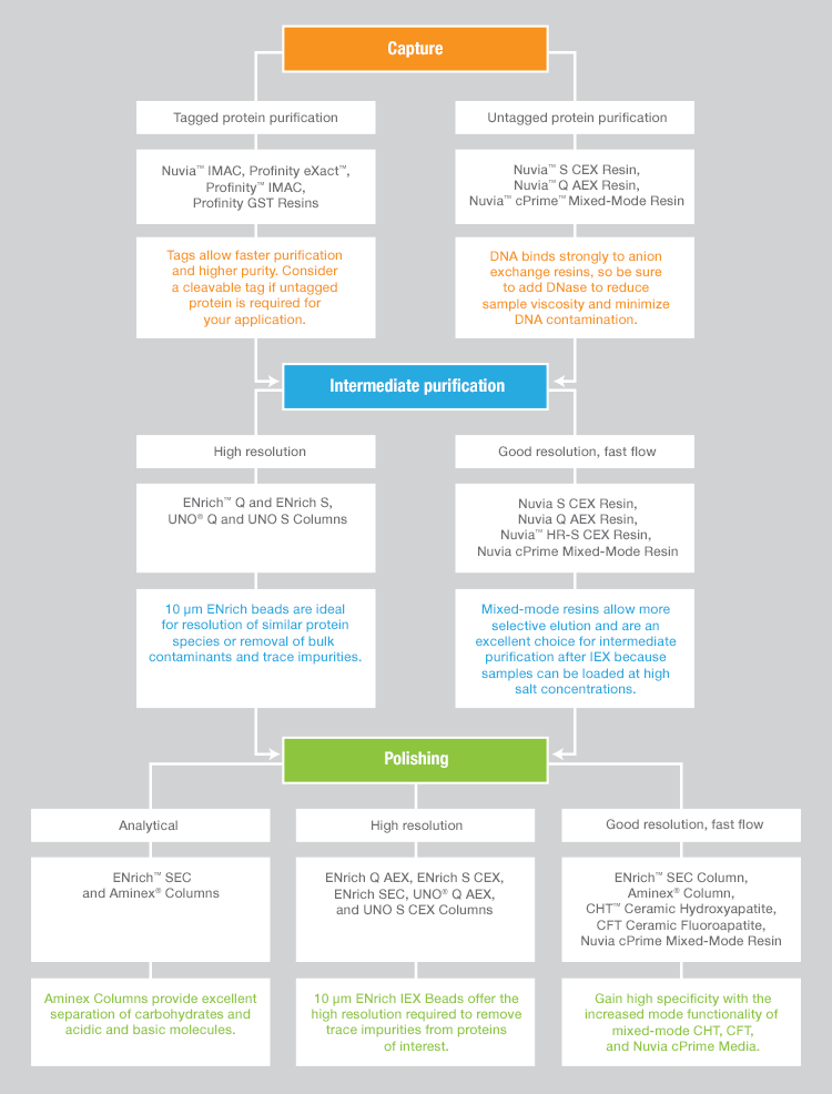 resin-type-and-size-decision-tree