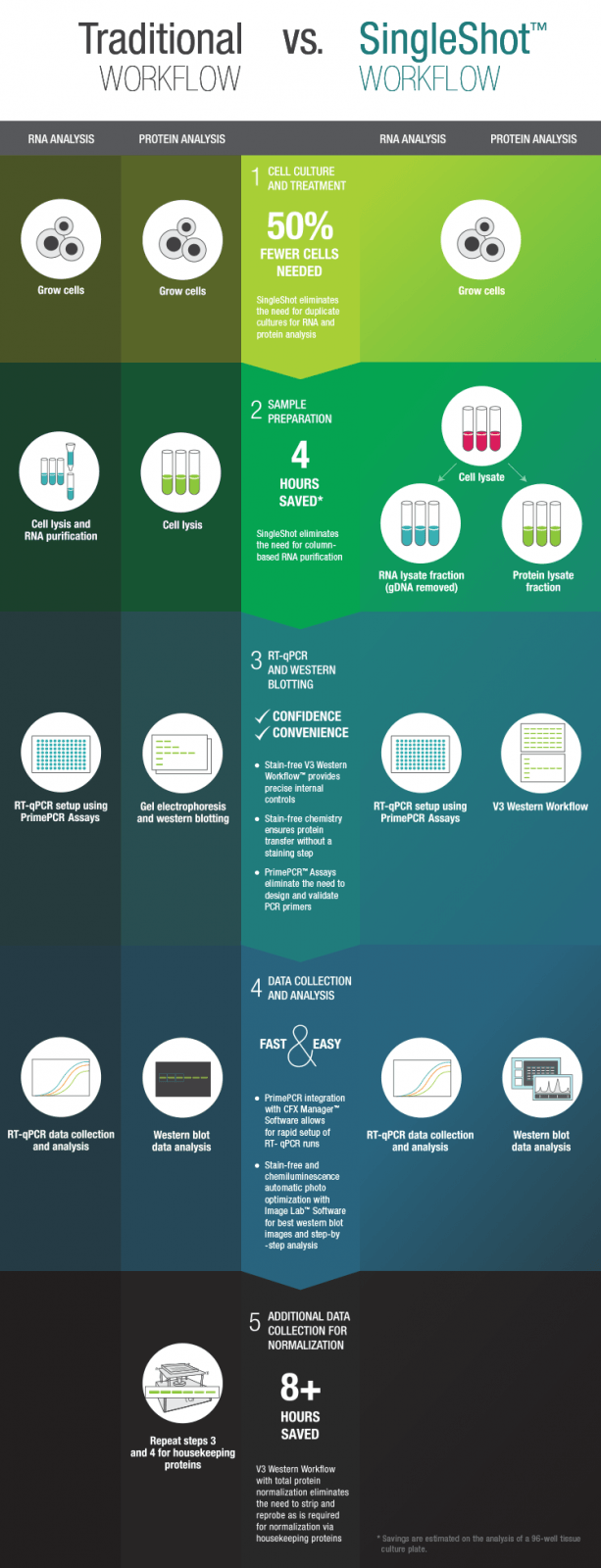 traditional-vs-singleshot-workflow-infographic