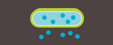 04-optimal-resins-for-endotoxin