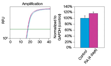 fig-03b-constant-expression-of-gapdh-rna-and-protein-levels-05-06