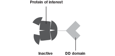 specific-control-inactive