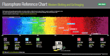 Fluorophore Chart