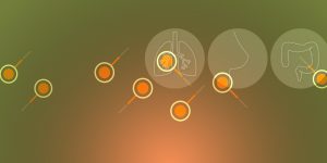 Advances in Immunotherapy for Cancer