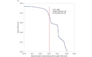 Fig. 2. Single-cell sequencing of large cells.