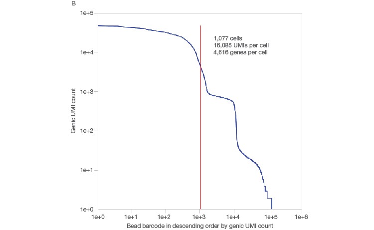 Fig. 2. Single-cell sequencing of large cells.