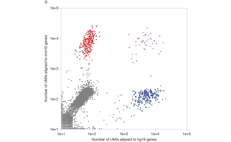 Fig. 3. Single-cell sequencing of small species.