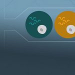 High-Throughput Single-Cell RNA-Seq of Large Cells and Nuclei