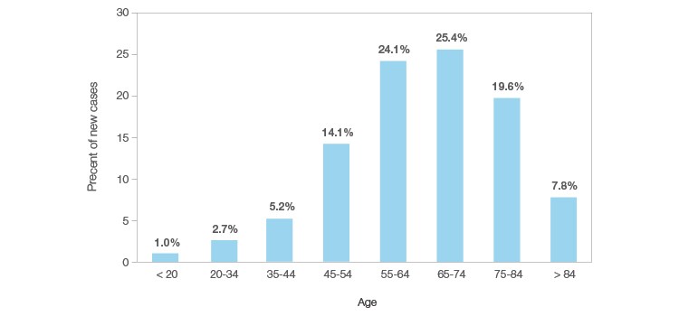 Figure 1. Percent of new cancer diagnoses by age group.