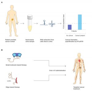 Figure 2. Potential applications for lncRNA in molecular diagnostics and pharmacological treatments of cancers.