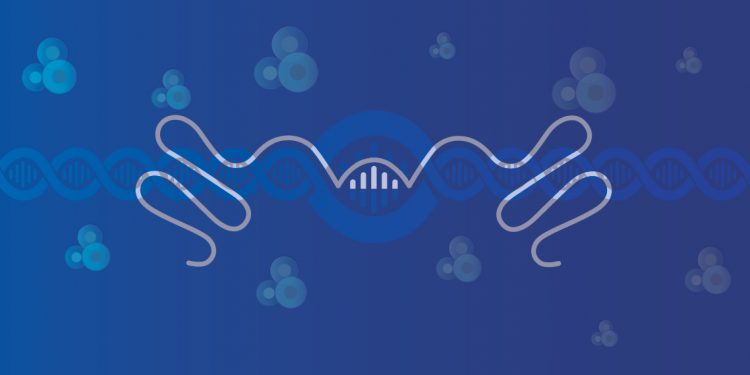 Cancer in the Age of Long Noncoding RNA Discovery.