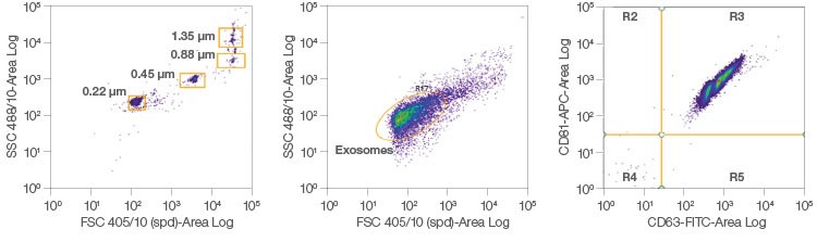 Fig. 5. Exosome analysis