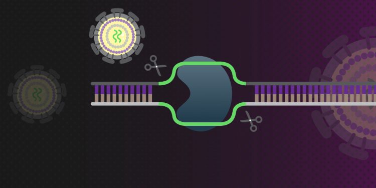 The Potential for CRISPR Gene Editing in HIV