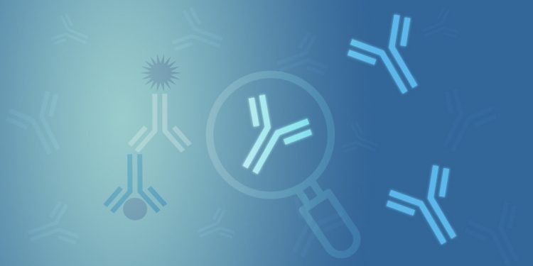 Finding a Good Antibody: Part I — Selecting the Best Antibodies.