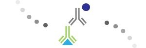 Match the antibody type to your application.