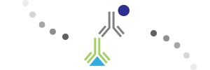 Match the antibody type to your application.