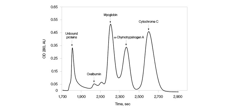 Fig. 1. Separation of protein standards.