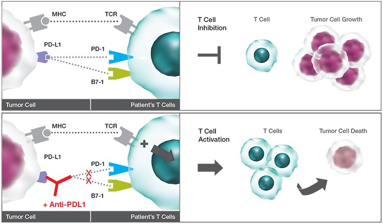 immuno-oncology-biomarker