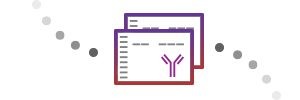 Test each antibody for specificity, sensitivity, and reproducibility.