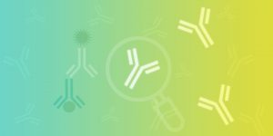 Publishing Meaningful Antibody Data