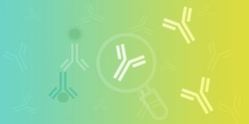 Publishing Meaningful Antibody Data