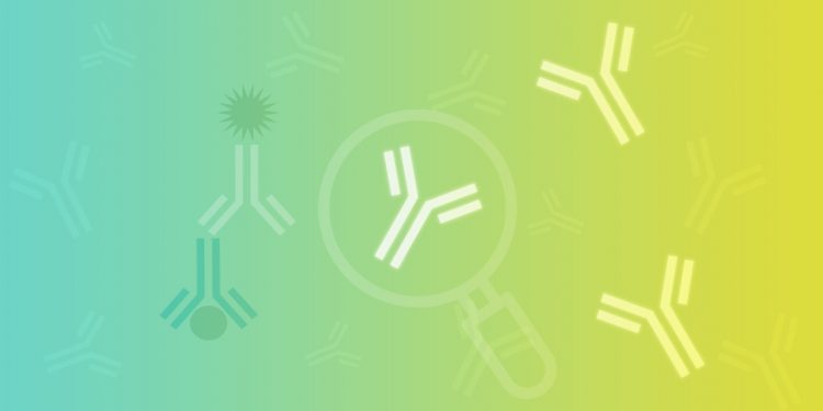 Publishing Meaningful Antibody Data