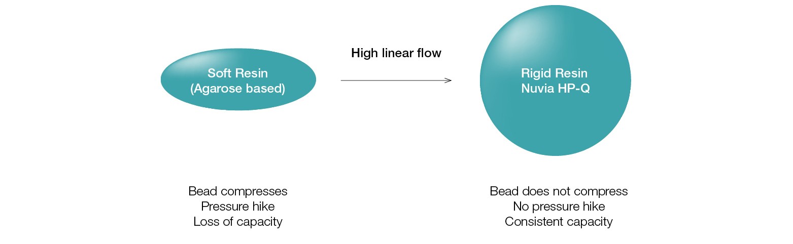 Fig. 3. Mechanically stable base bead allows HTP purification.