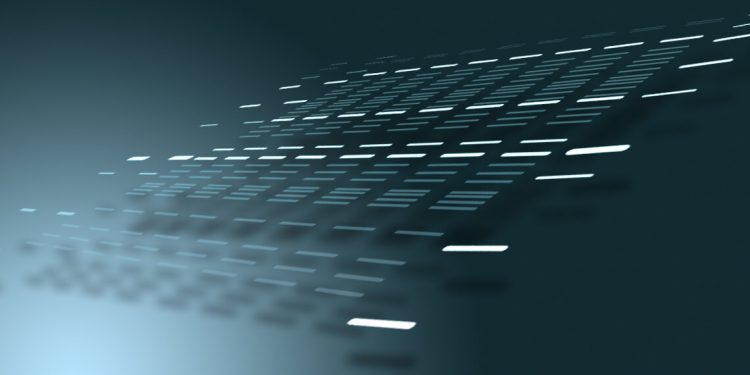 Western Blot Detection of Proteins Present in Tissue Lysates