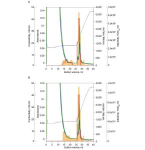 Fig. 2. Infectivity of the influenza virus purified on CHT XT.