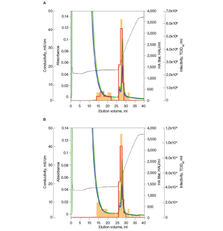 Fig. 2. Infectivity of the influenza virus purified on CHT XT.